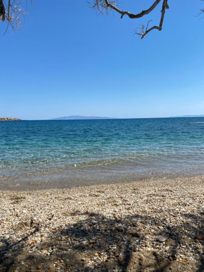 Apart Otel Nissiotiko 2*